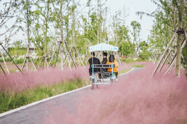 1709515169354826.gif 640 (1).gif