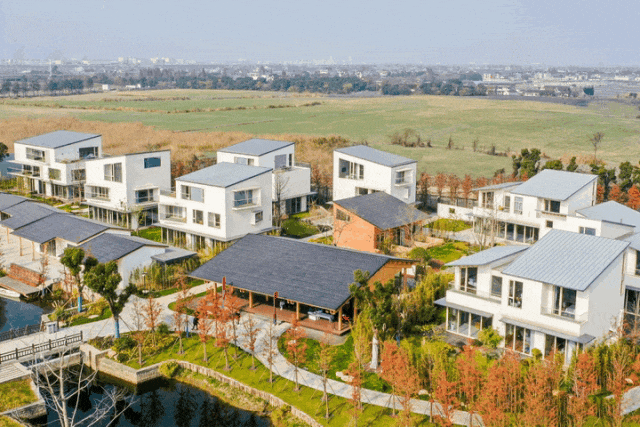 1709515208741989.gif 640 (2).gif