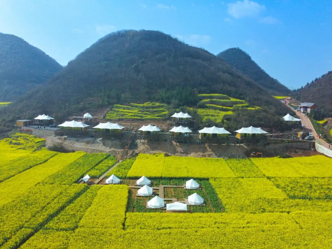 1710485587890315.jpg 640 (6).jpg