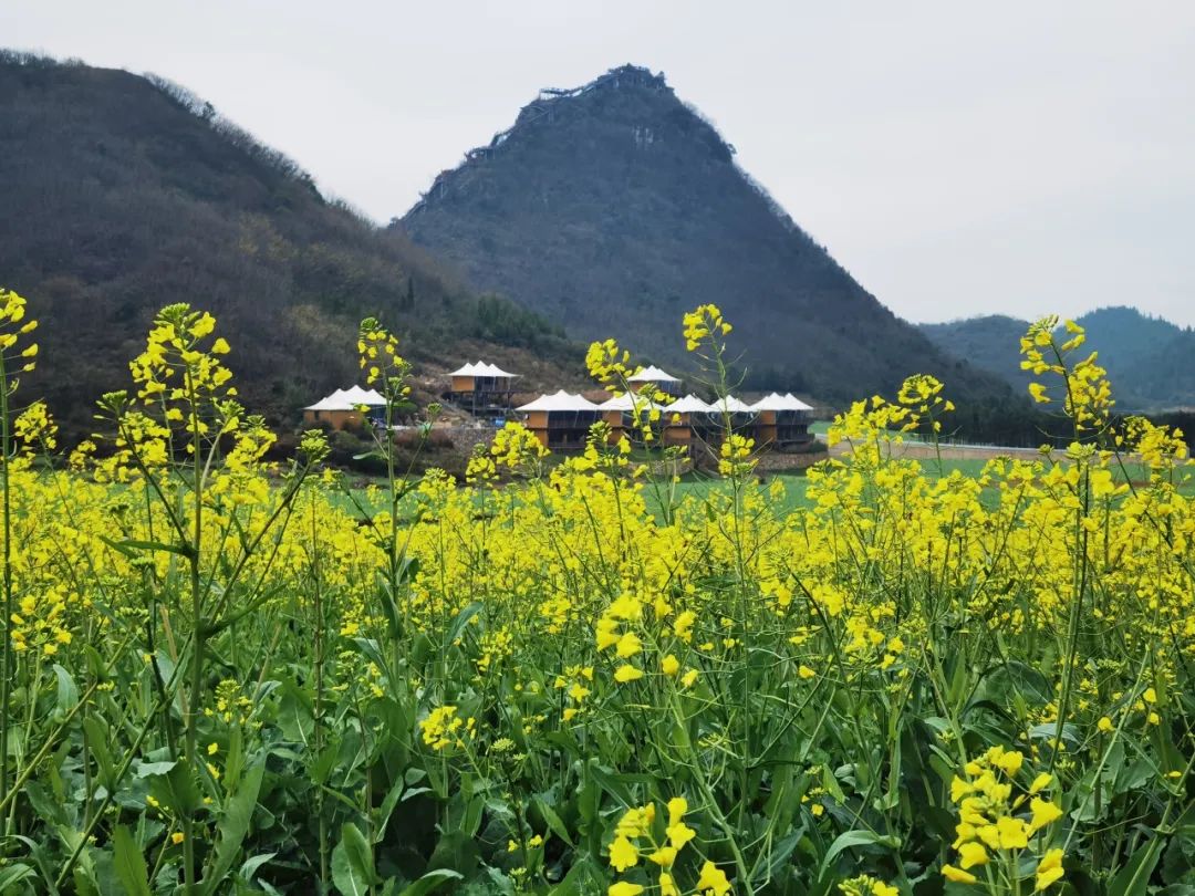 1710485989722600.jpg 640.jpg